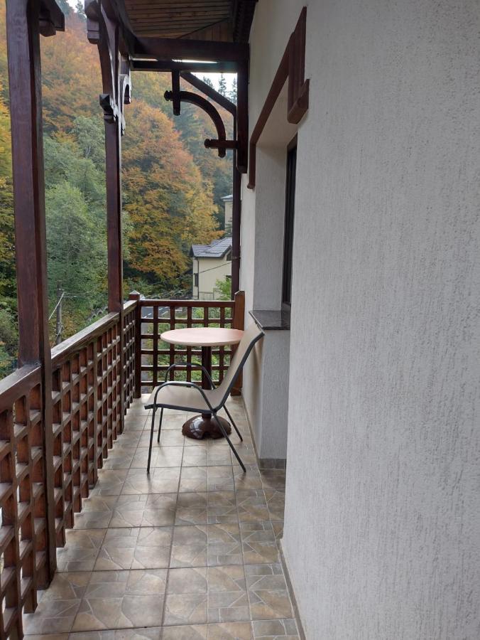 Pensiunea Steinhaus Slănic-Moldova Dış mekan fotoğraf